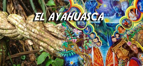 Ayahuasca El Potencial Curativo Y Sus Beneficios