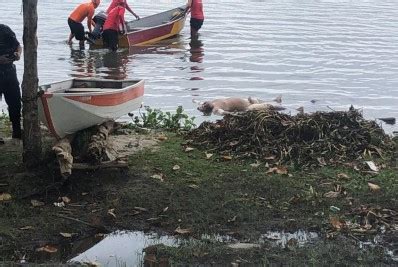 Cadáver é encontrado boiando na lagoa do Parque Nanci em Maricá