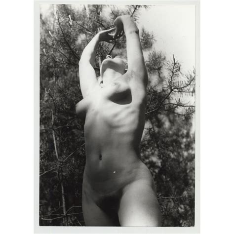 Nude Study Of Female Upper Torso In Forest Nude Art GDR B W S