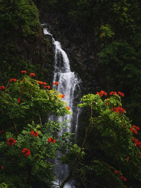 8 Best Waterfalls in Hawaii