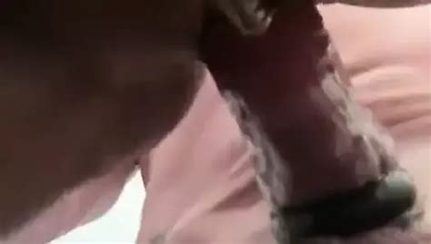 Nri Punjabi Fucking Indian Amateur Amateur Porn Xhamster