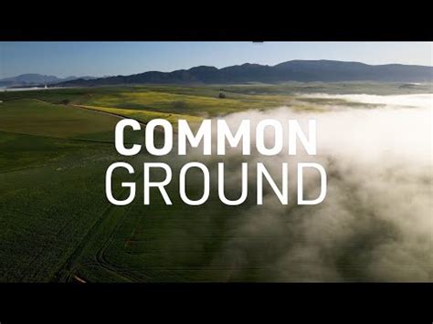 Review: Common Ground - Chicago Reader