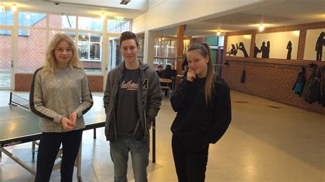 Sex Samfund Gør seksualundervisning obligatorisk på seminarierne Indland DR