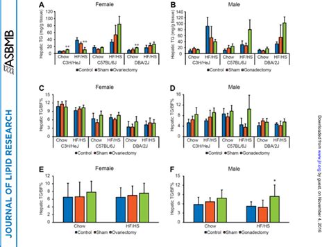 Effect Of Gonadal Hormones On Hepatic Tg Accumulation A B Hepatic Tg