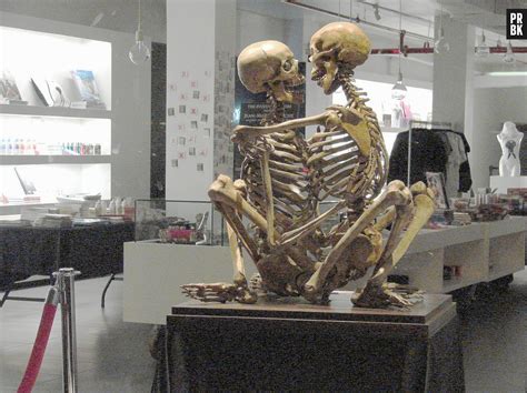 Foto O Museu do sexo Museum of Sex conta a história da atividade essencial para a reprodução