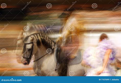 Spanish Horse riding stock image. Image of hair, misty - 7107699