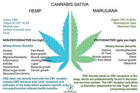 Is There A Difference Between Cbd Oil And Hemp Seed Oil