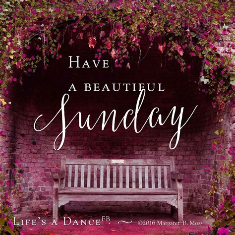 Have A Beautiful Sunday Pictures Photos And Images For Facebook
