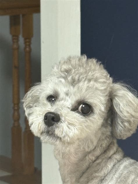 Unlock the Pleasure of babysoomii SexKbj Korean BJ Media