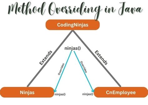 Dynamic Method Dispatch In Java Coding Ninjas