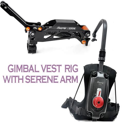 Flowcine Serene EASYRIG Gimbal Поддержка жилет для видео Камера Риг ...