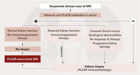 Anti-PLA2R antibody detection in primary membranous nephropathy: now