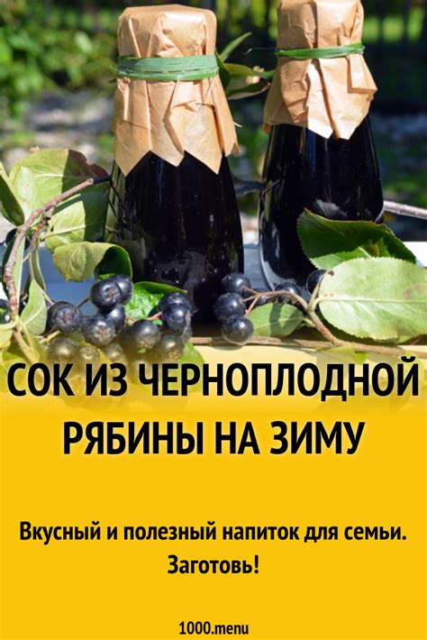 Сок из черноплодной рябины на зиму рецепт с фото - 1000.menu