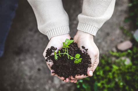 national growing  wellbeing week  cooking academy