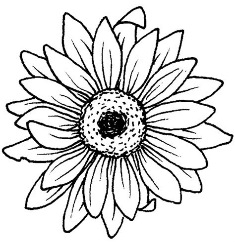 Desenhos de Girassol para colorir - Dicas Práticas