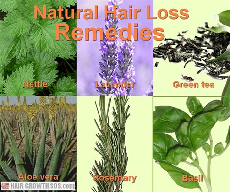 Ten Natural Hair Loss Remedies