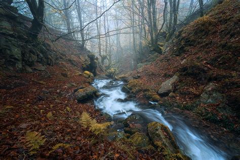 Why You Should Use a Polarizer for Landscape Photography ...