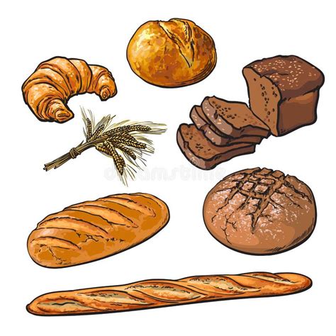 Картонный хлеб хлебная продукция хлеба, пшеница и цельное зерно ...