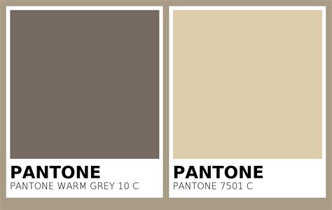 color pantone warm grey    pantone   side  side