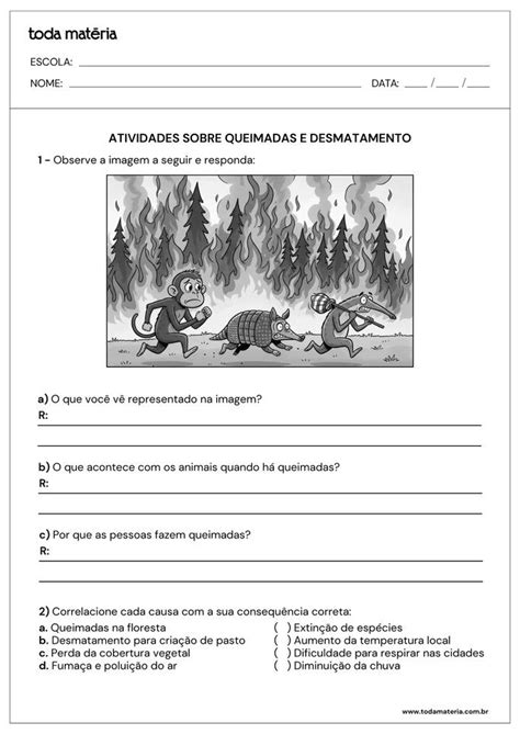 Atividades Sobre Queimadas