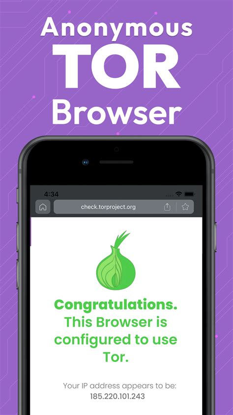 tor browser onion   ultimate  guide   tor browser
