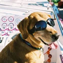 ashley madison noel biderman net worth