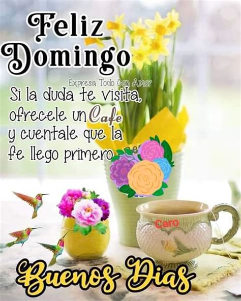 Feliz Domingo Imagenes