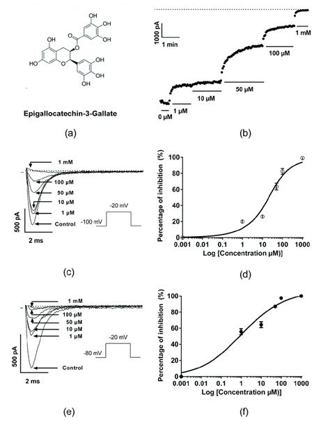 Pharmacological Effects Of Epigallocatechin Gallate Egcg On The