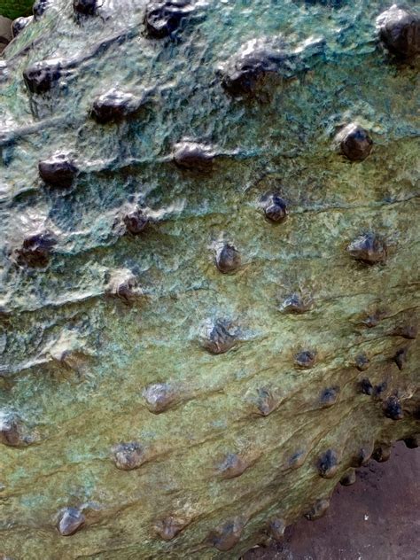 Public art by Veronica Ryan OBE at Hackney Central, London - Caroline Banks