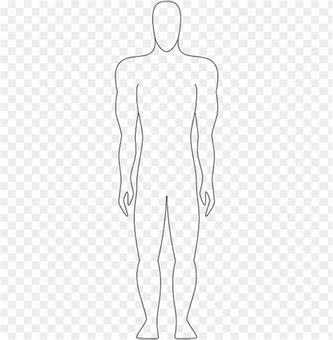 Human Body Outline Png Sketch Png Transparent With Clear Background