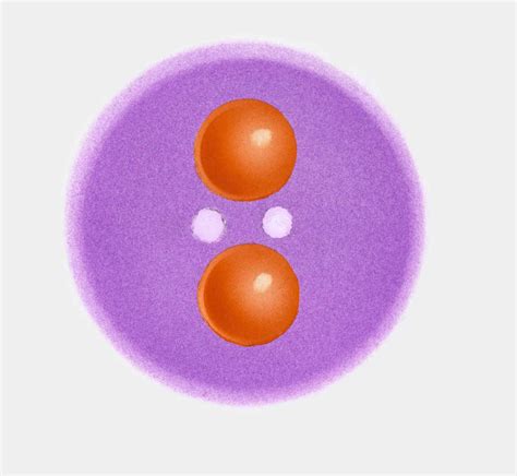 Subatomic Particles You Should Know