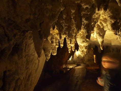 Amazing Photos Of New Zealands Waitomo Glowworm Cave