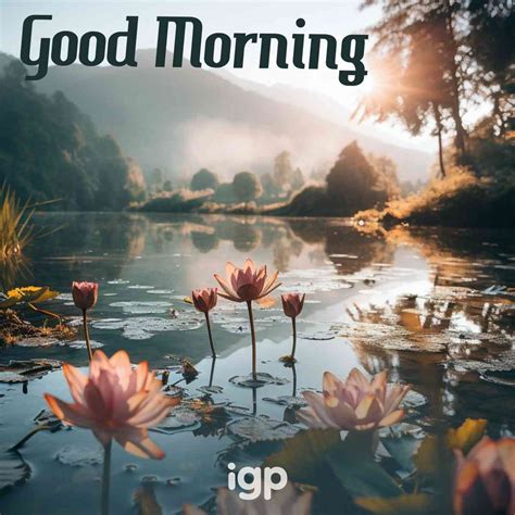 good morning images pic quotes  share  friends family
