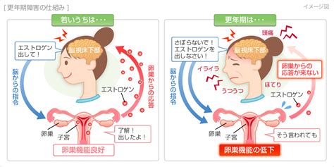 更年期特有⁉自律神経の状態とむくみの関係性