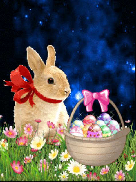 HAPPY EASTER ♡♥♡ | Ostern bilder kostenlos, Frohe ostern bilder, Frohe ...