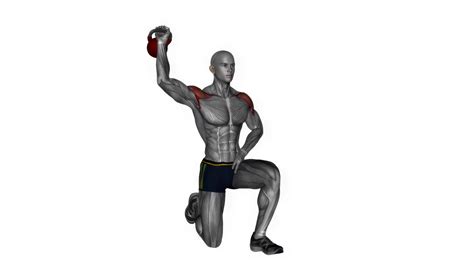 Kettlebell Half Kneeling Shoulder Press Fitness Exercise Workout