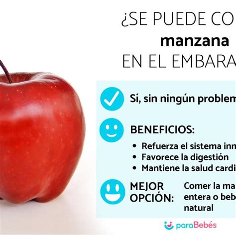 Introducir 142 Images Beneficios De Comer Manzana Verde Viaterra Mx