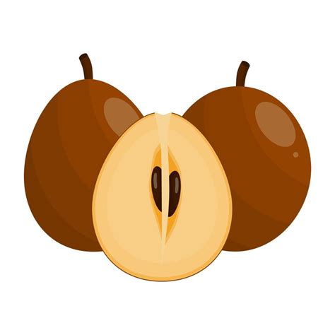 Chico Fruit Is A Fruit That Has A Sweet Taste Usually This Fruit Grows