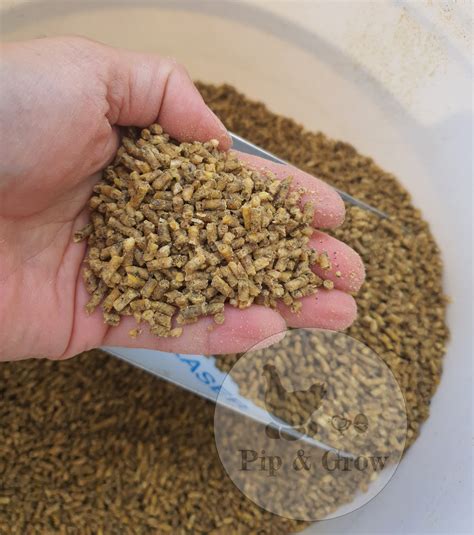 chicken feed  pip grow