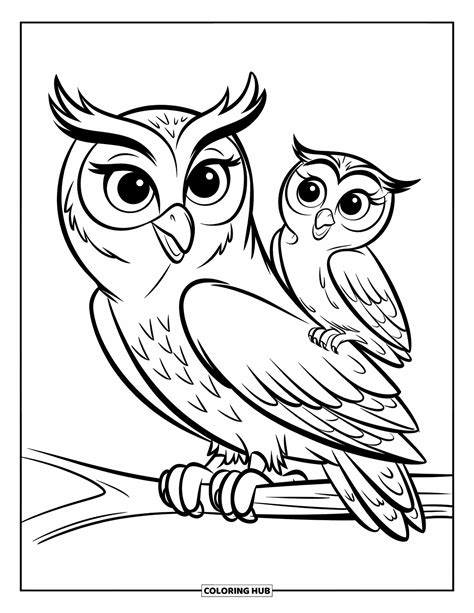 Desenho Corujinha Para Colorir