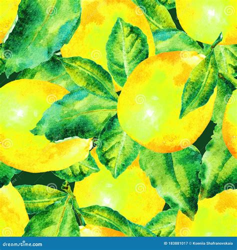 Watercolor Lemon Fruit With Leaves Seamless Pattern Stock Illustration Illustration Of