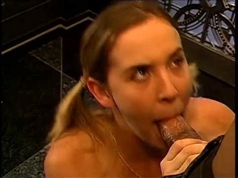 Free Black Blowjob Porn Videos XHamster