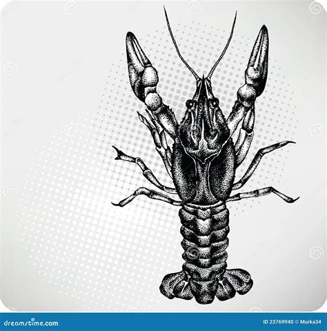 Crayfish Hand Drawing Vector Illustration Stock Vector Illustration