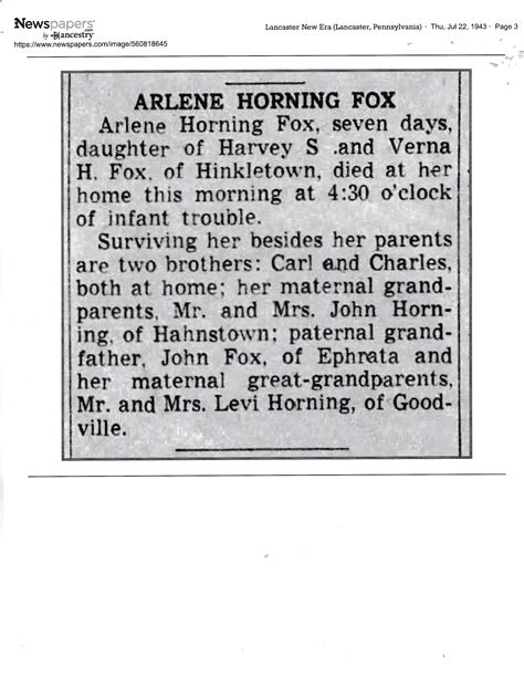 Arlene Horning Fox (1943-1943) - Find a Grave Memorial