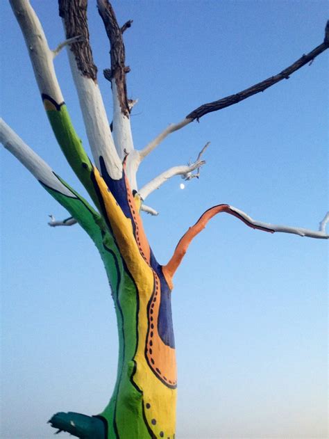 Best Painted Trees Images On Pinterest Rainbow Eucalyptus Tree