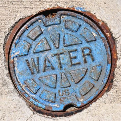 Hot Sexy Aida Naderi Bikini Pics