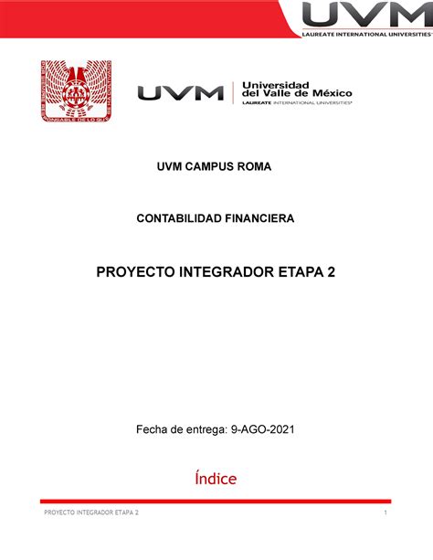 Actividad Proyecto Integrador Etapa Contabilidad Financiera Uvm