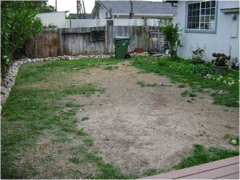 Simple Home Art Decor Ideas Dog Backyard Dog Friendly Backyard Dog