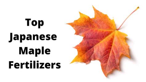 Japanese Product Review by Japan Truly – Tagged "maple tree fertilizer"