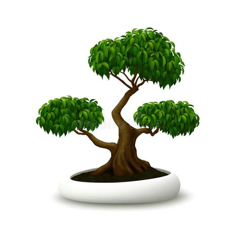 Vector Del árbol De Los Bonsais En Fondo Ilustración del Vector